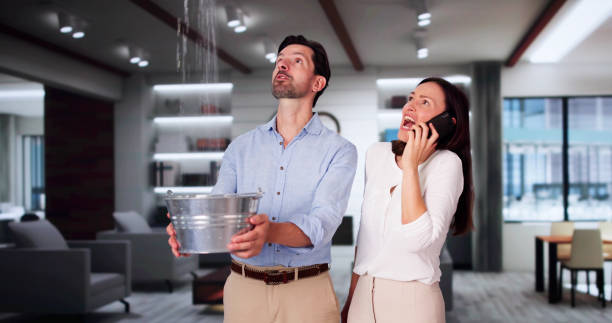 Best Basement Water Damage Restoration in Iyanbito, NM